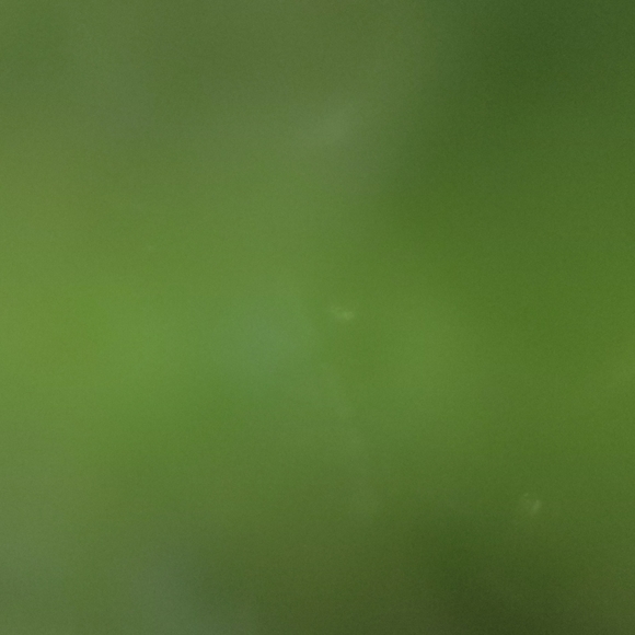 flamings Accessories - 😁